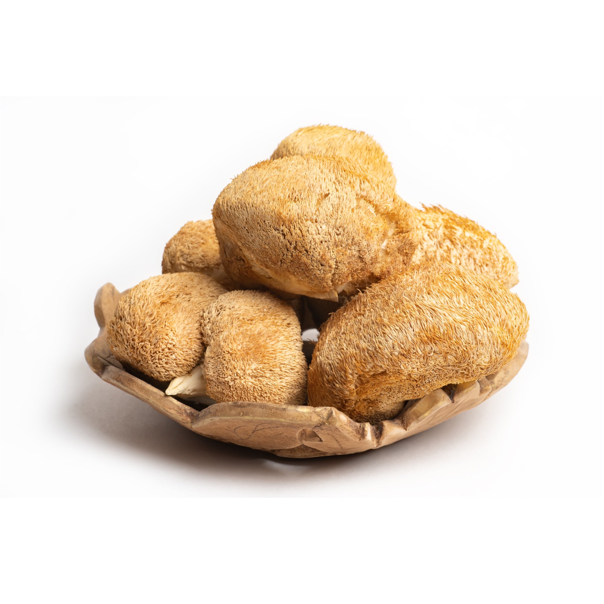 Ekologiški Lion's Mane (gericijaus) - džiovintų grybų milteliai