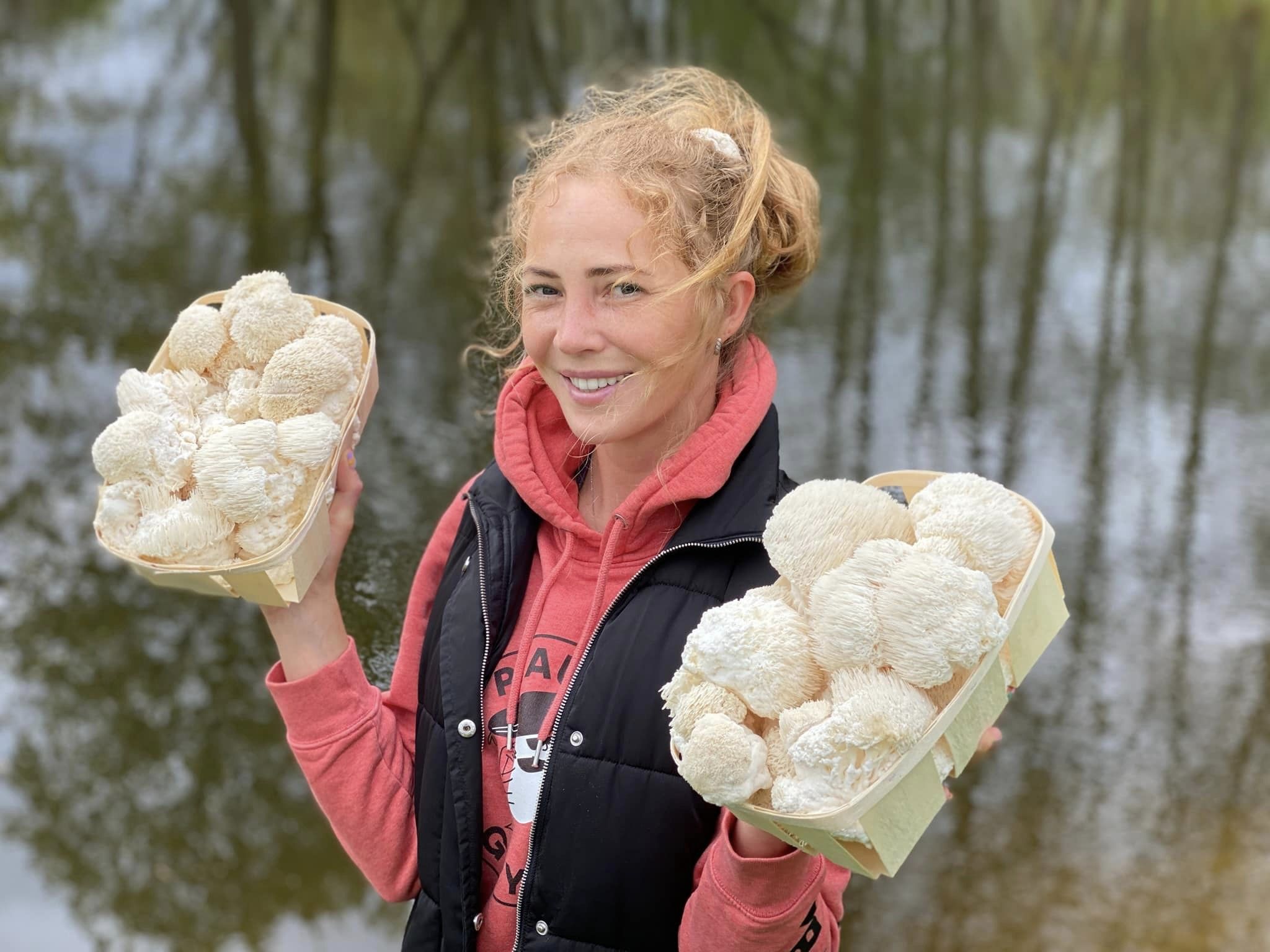 Ekologiškos Lion's mane kapsulės PLUS+