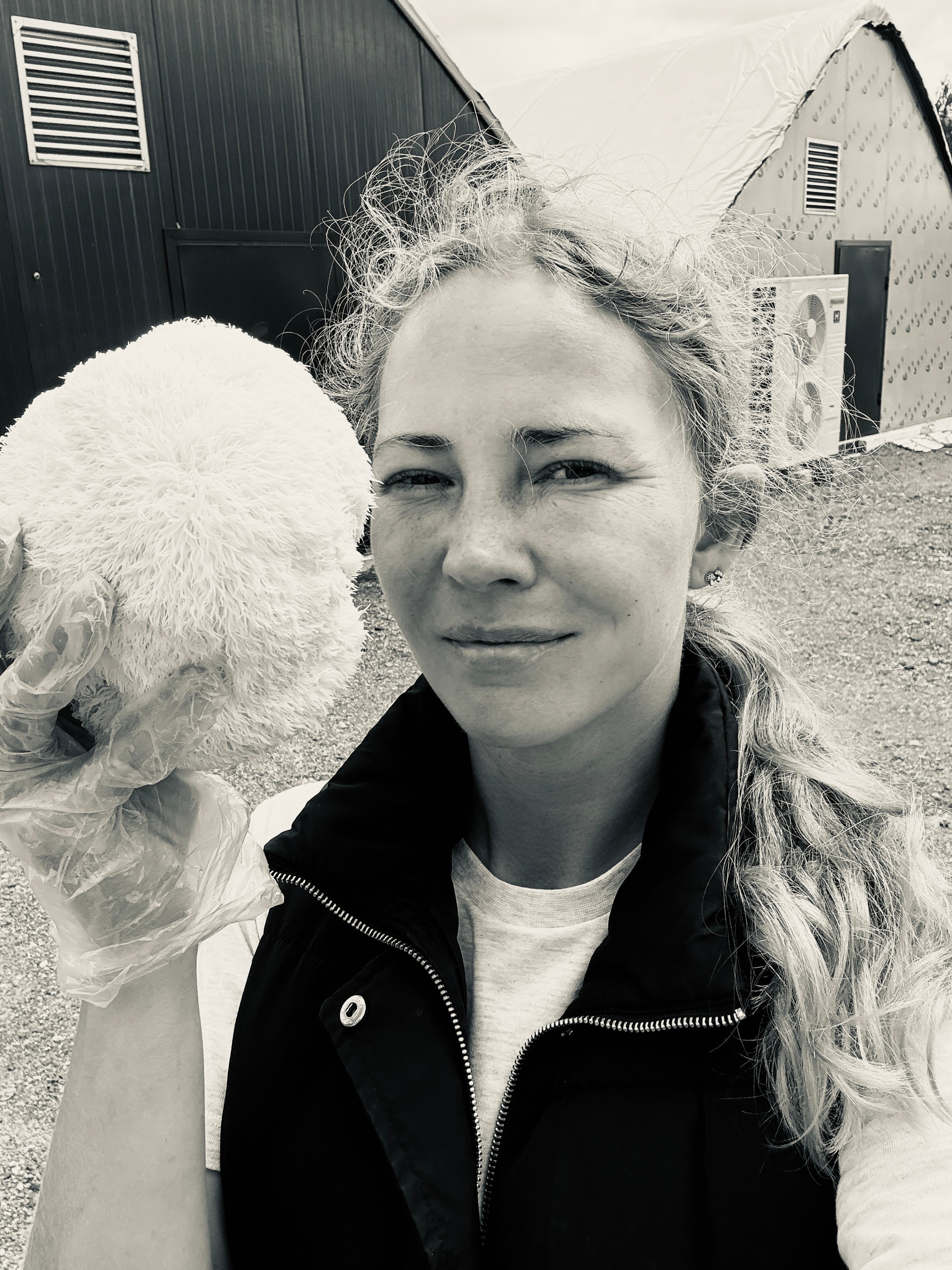 Ekologiškos Lion's mane kapsulės PLUS+