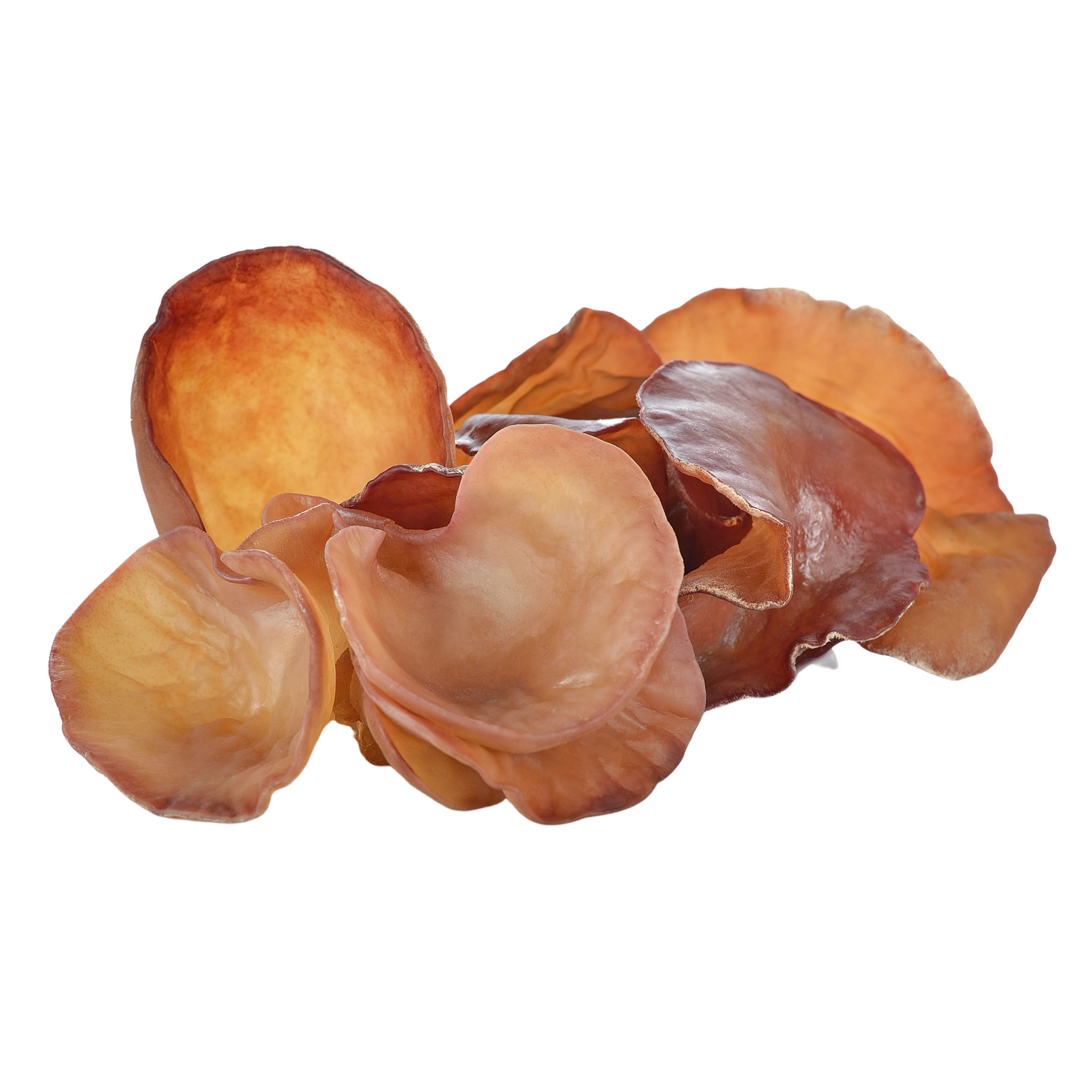 Ekologiški Ausiagrybio grybo (Auricularia auricula) milteliai PLUS+