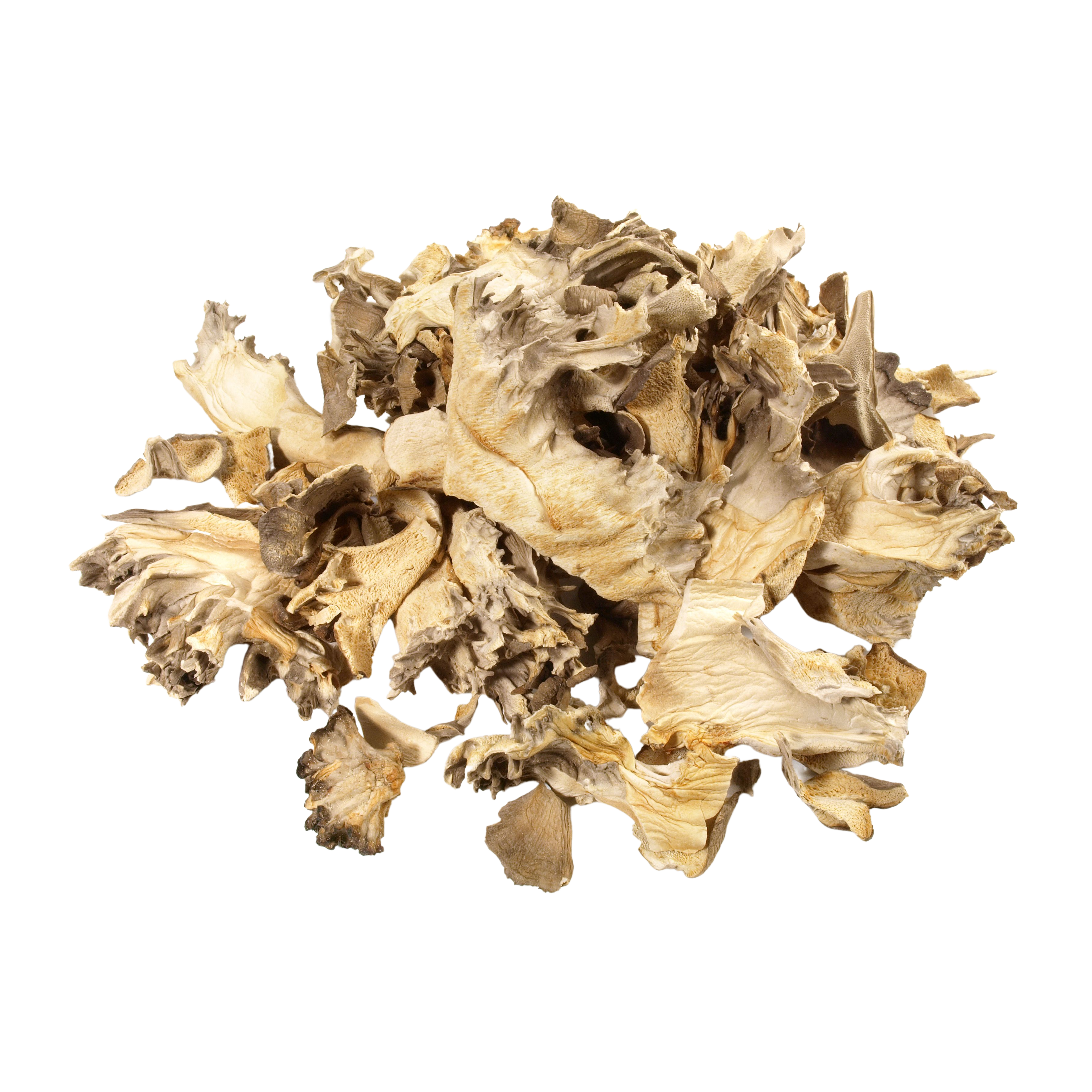 Ekologiški Maitake (Grifola frondosa) - džiovinti grybų milteliai PLUS+