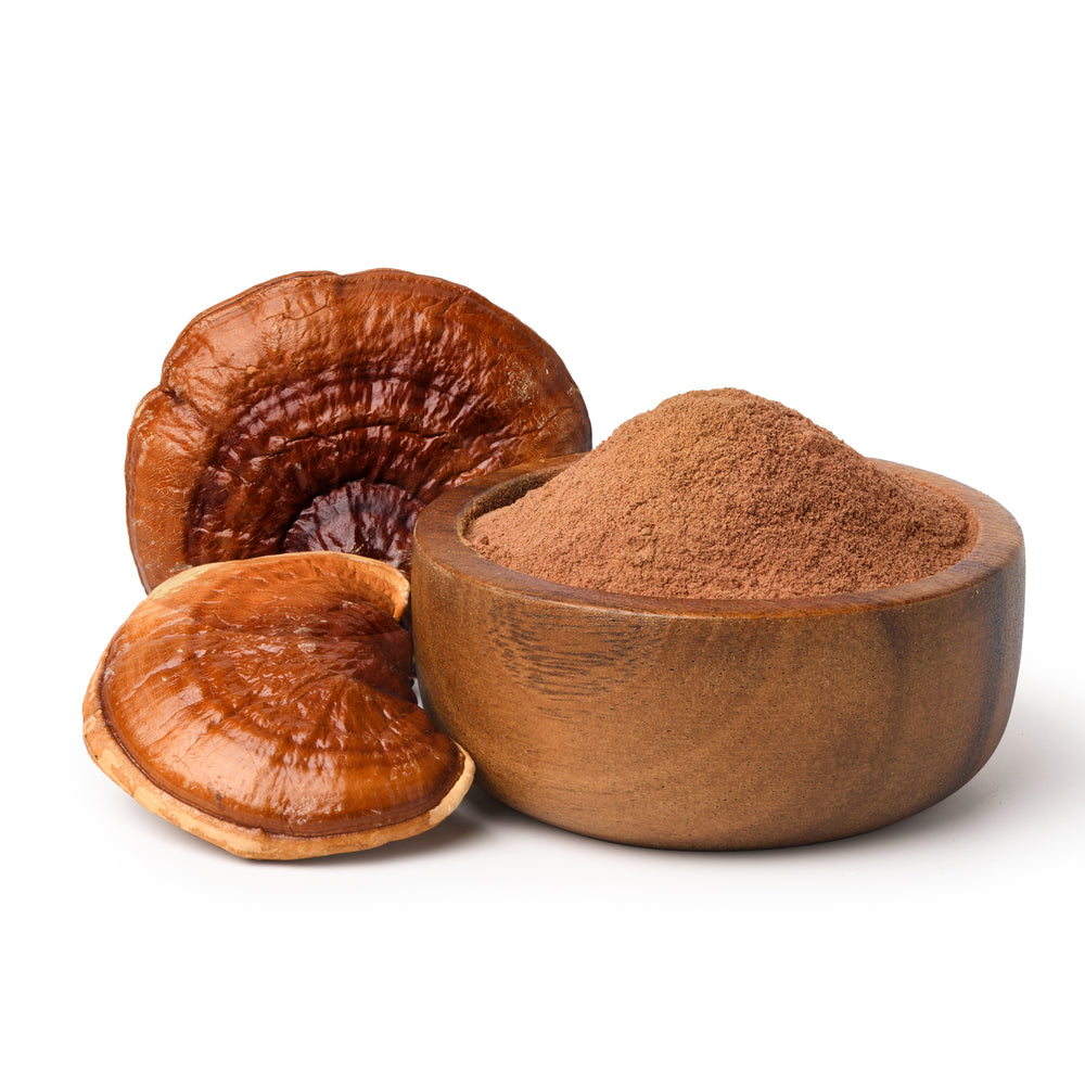 Reishi grybo milteliai