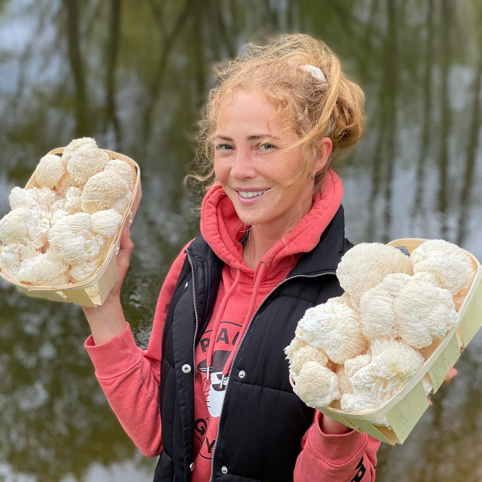 lions mane lietuvoje