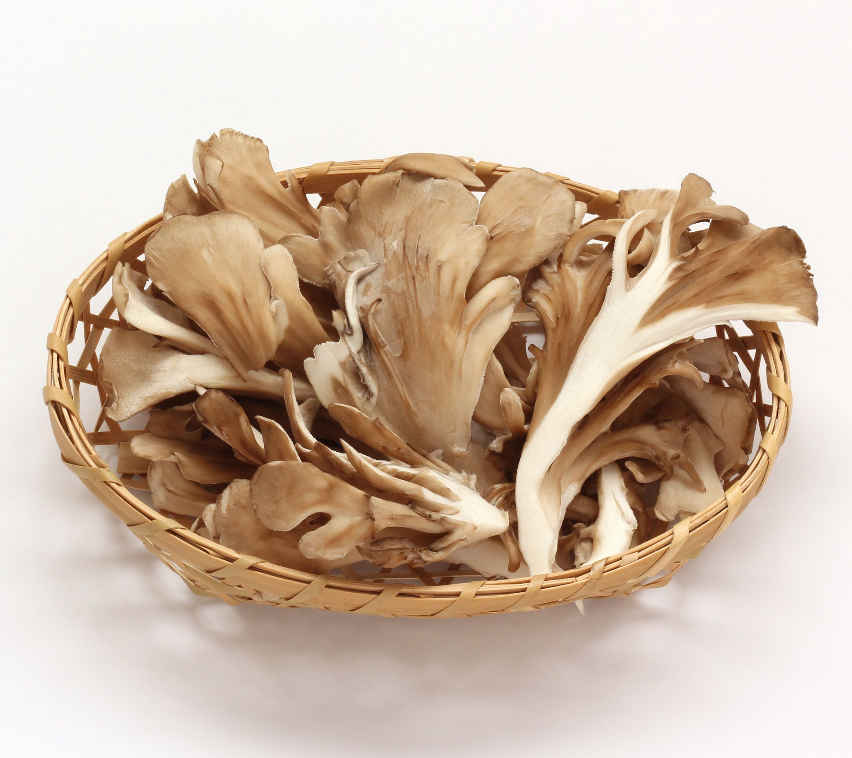 Ekologiški Maitake (Grifola frondosa) - džiovinti grybų milteliai PLUS+