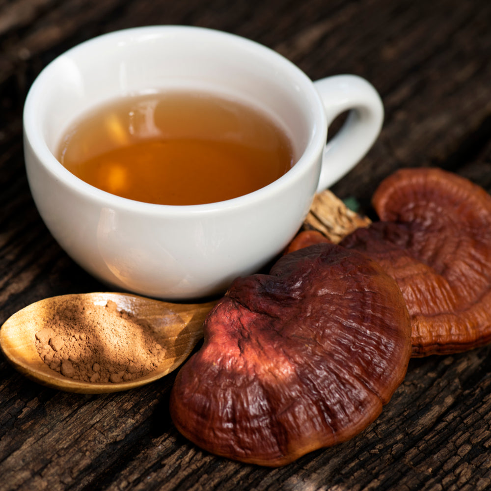 Reishi grybo arbata